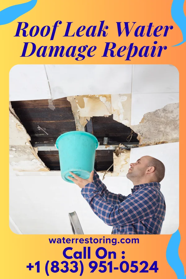 Roof Leak Water Damage Repair in South Venice, FL